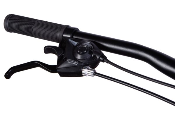 Brzdová páka a řadicí systém pro bicykl.