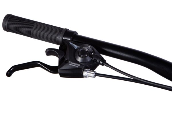 Cykelstyre med broms- och växelreglage