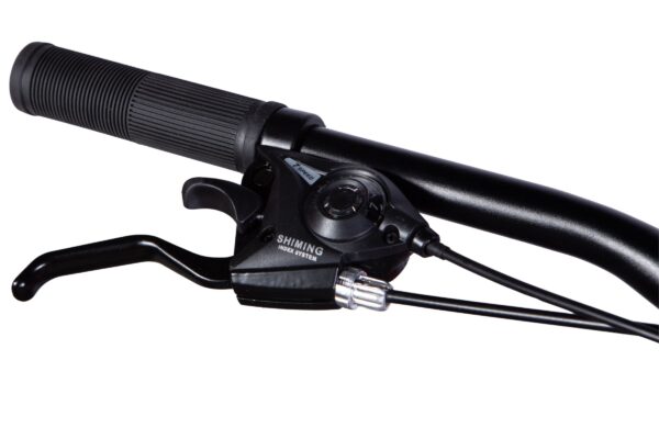 horské kolo mars 29